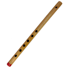 Bamboo penny whistle with holes on a white background