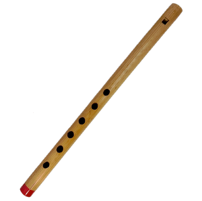 Bamboo penny whistle with holes on a white background