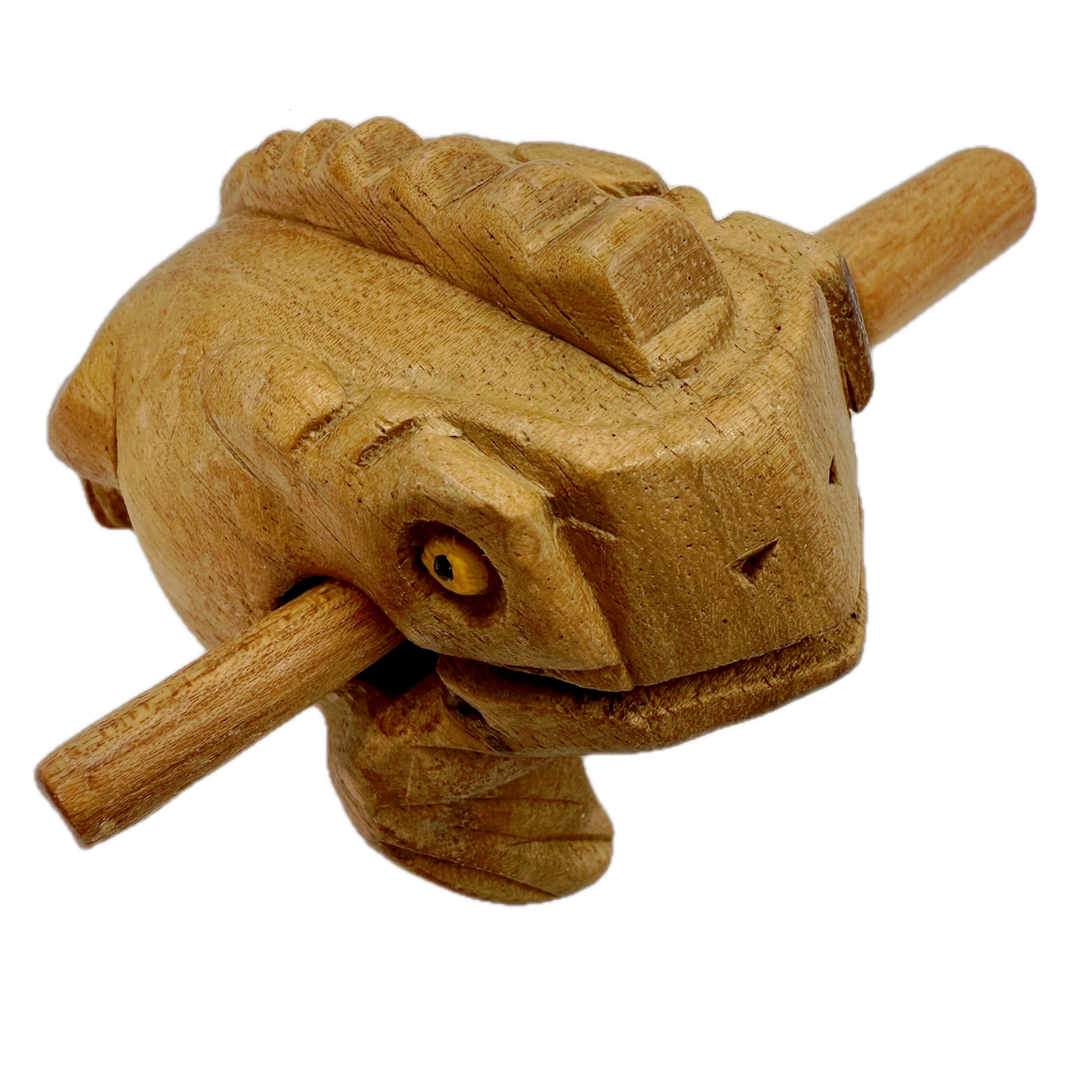 Wooden Croaky Frog toy with a stick in its mouth on a white background