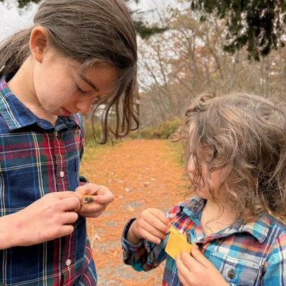 Two children in plaid shirts outdoors, playing with small wooden Snake in the Box toys.