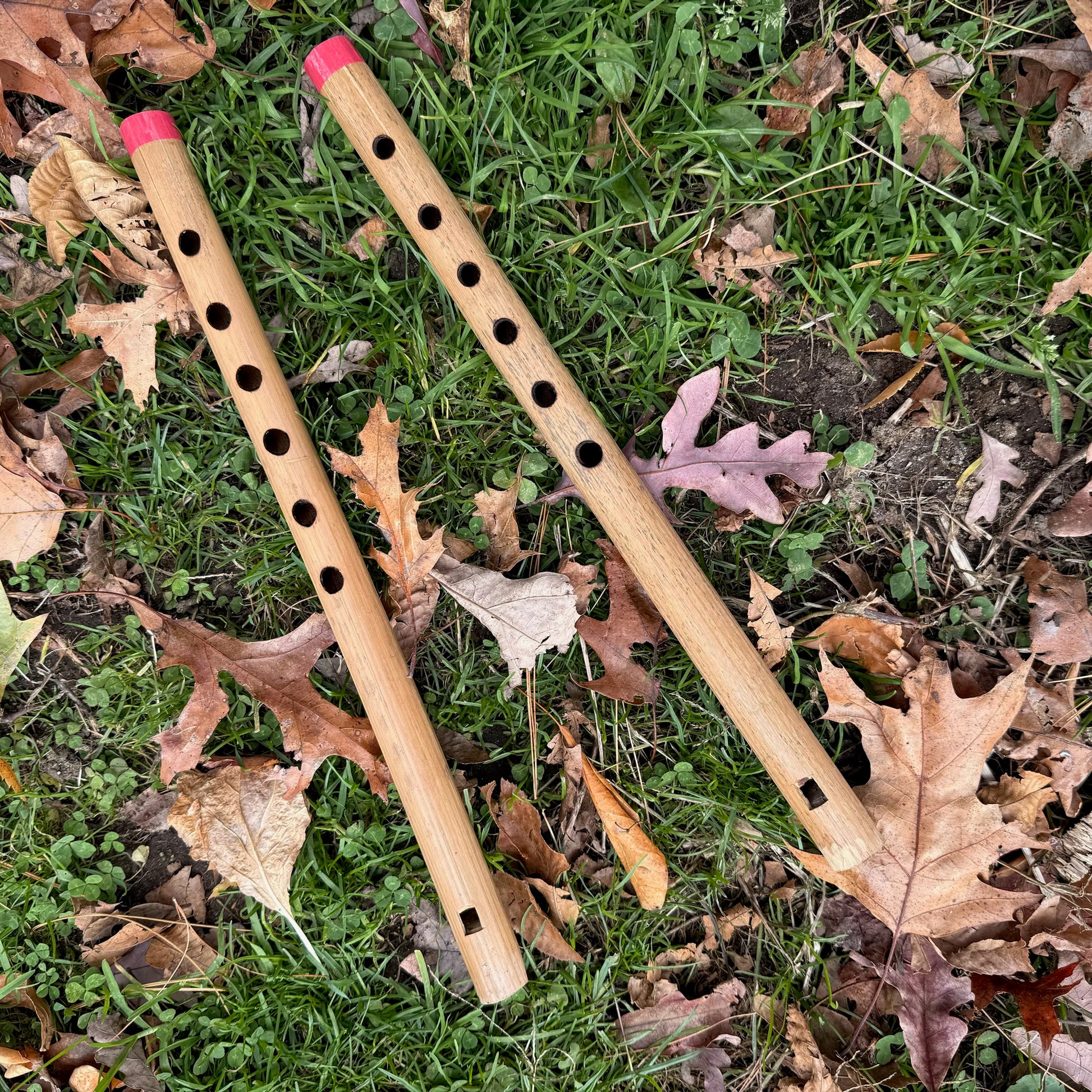 Two bamboo penny whistles on grass with fallen leaves