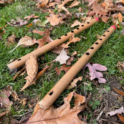 Bamboo penny whistles on grass with fallen leaves