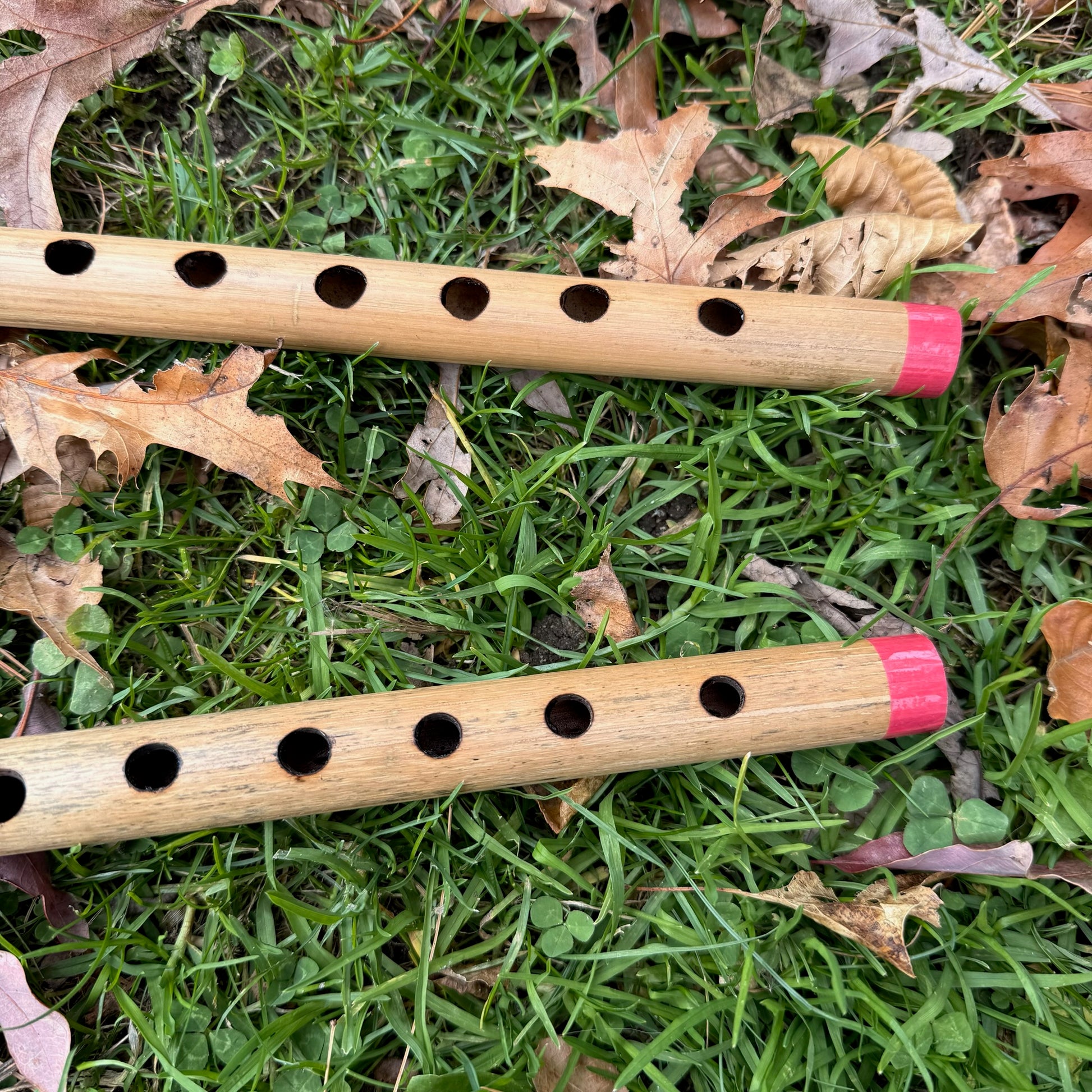 Two bamboo penny whistles with red tips on grass and leaves