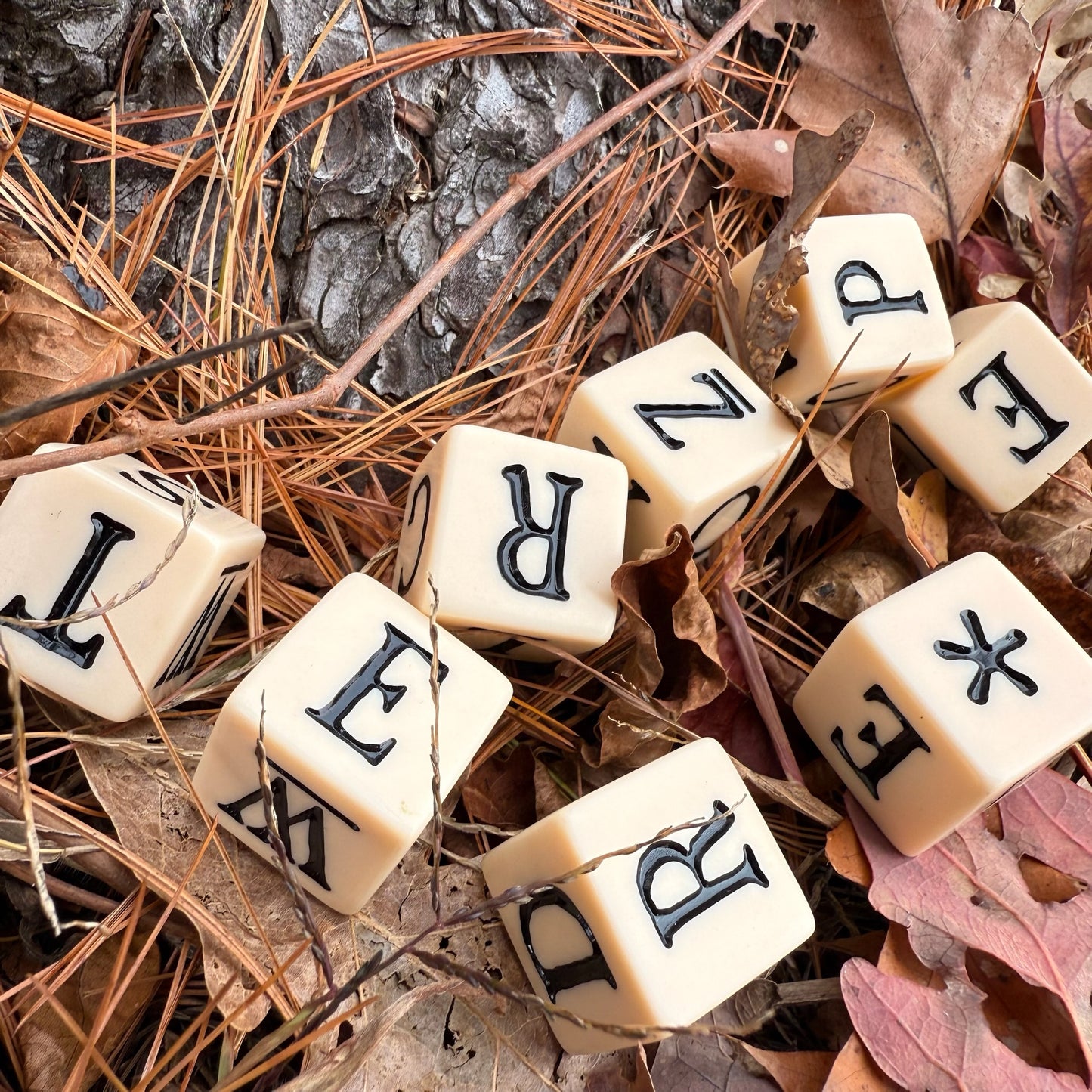 Alphabet dice scattered on a bed of leaves and pine needles