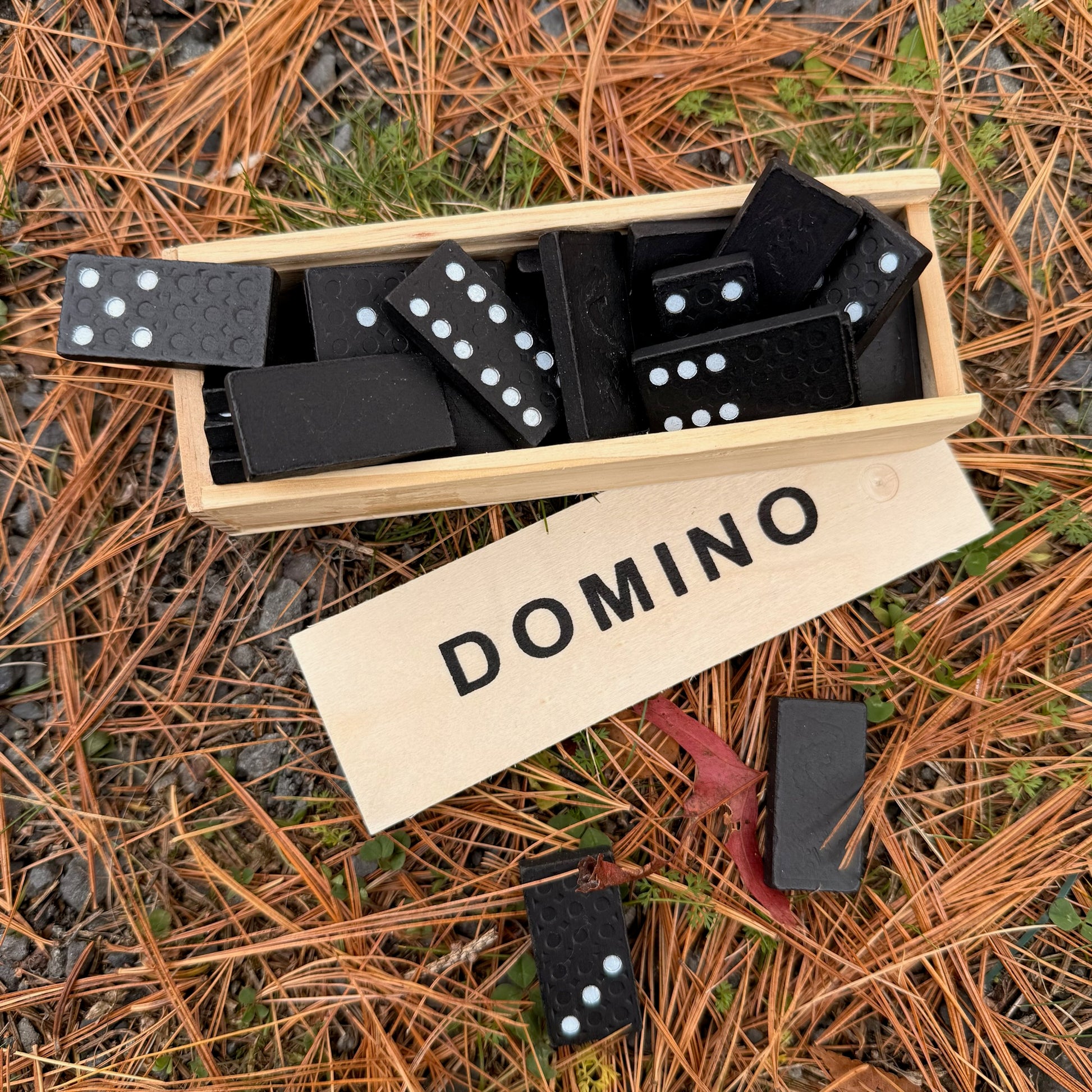 Set of dominoes in a wooden box on the ground with pine needles