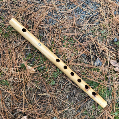 Bamboo fife on the ground with pine needles and small rocks