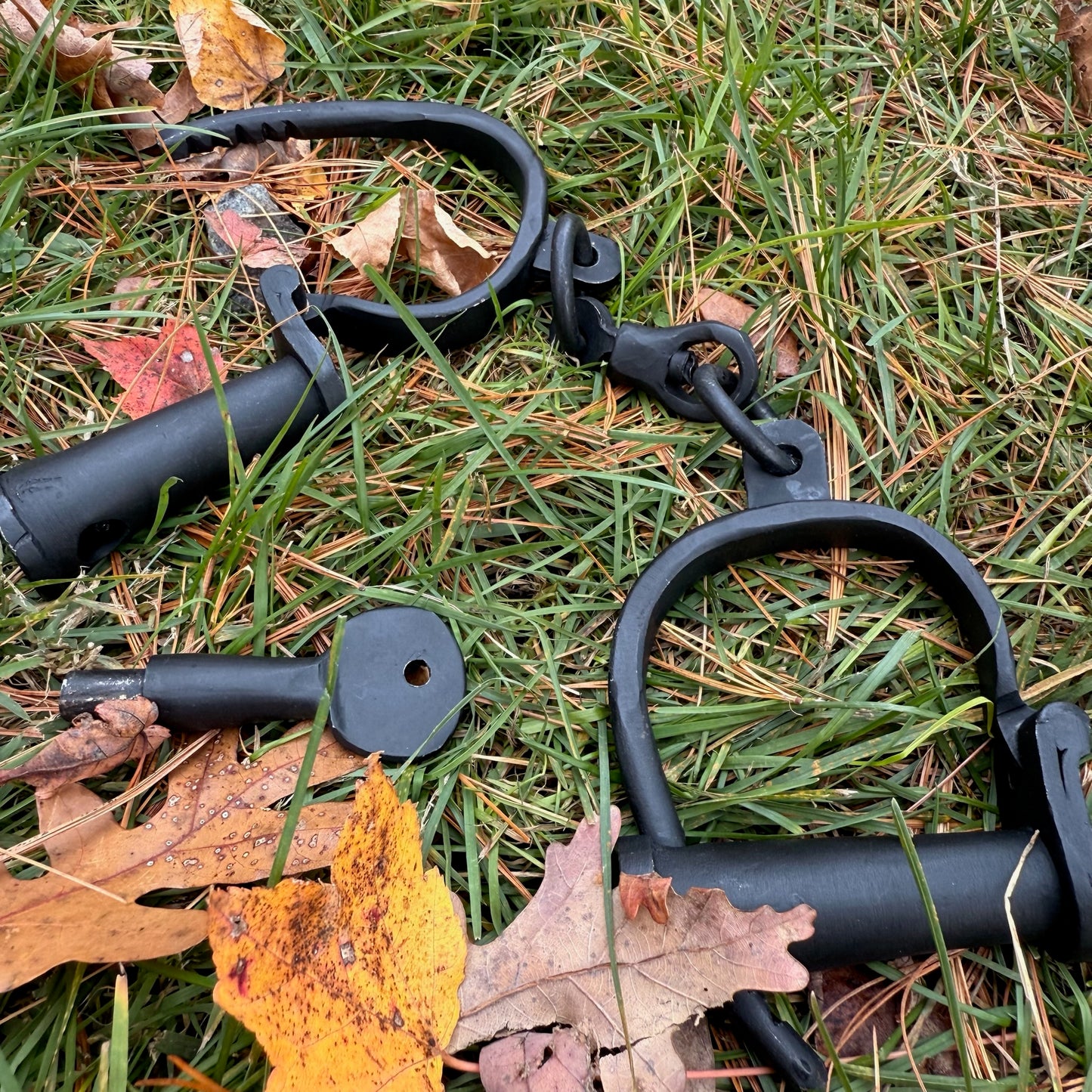 Black iron shackles on grass with leaves